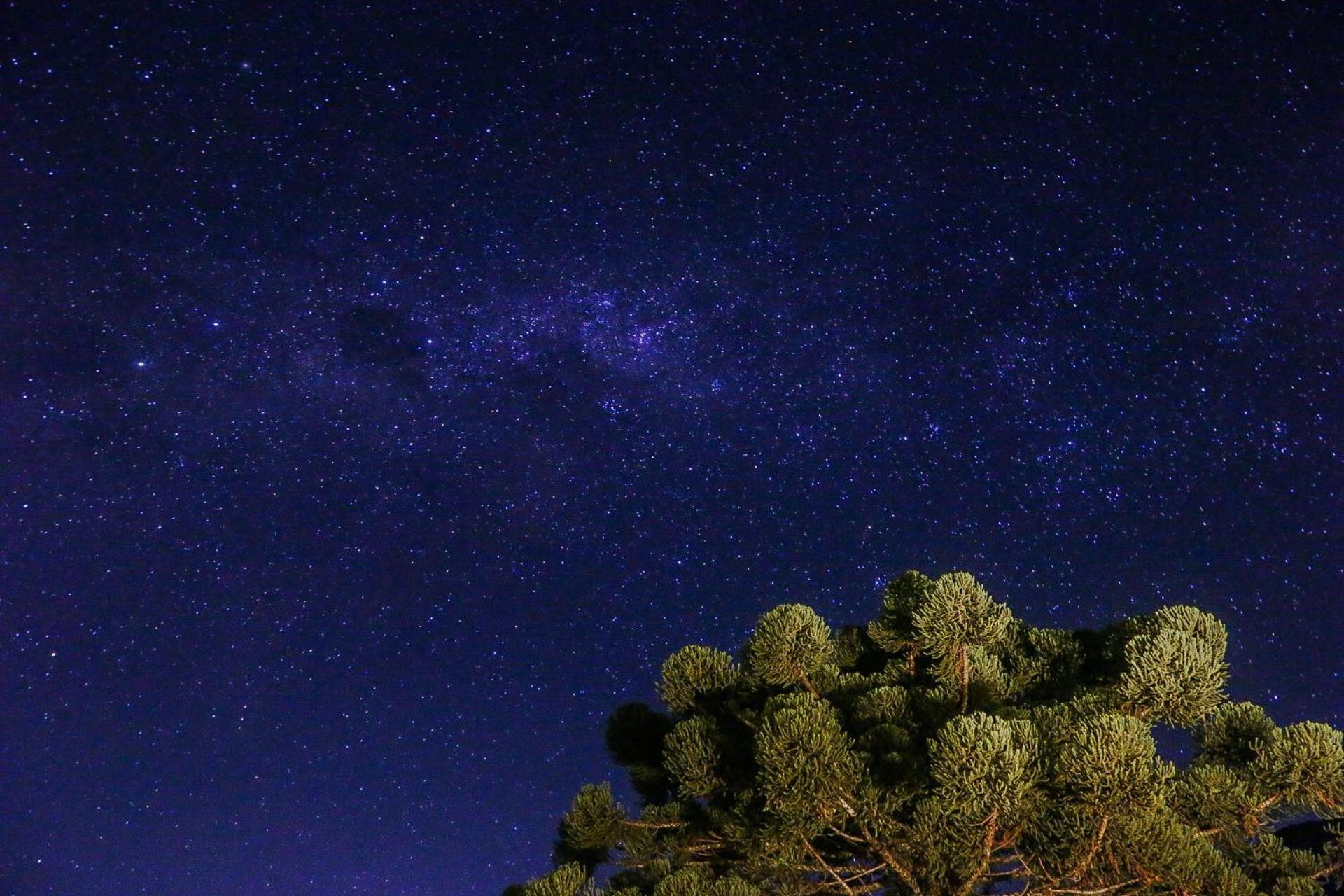 Pousada Terra Dos Passaros Сан-Бенту-ду-Сапукаи Экстерьер фото